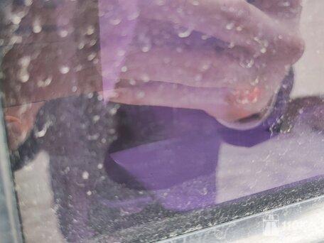 Ford, Taurus, 3000, 238, бензин, седан, автомат, передний привод, среднее состояние, левый, белый, 295 300 ₽